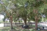 17530 Fosgate Road - Photo 73