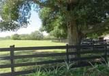 17530 Fosgate Road - Photo 74