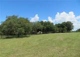 17530 Fosgate Road - Photo 78
