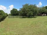 17530 Fosgate Road - Photo 81