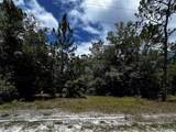 7416 Nathan Point - Photo 4