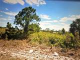 2817 56TH Street - Photo 5