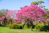 LOT 41, Cromwell Road - Photo 9