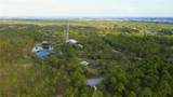6885 Orchid Tree Drive - Photo 14