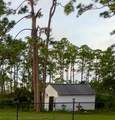 6885 Orchid Tree Drive - Photo 18