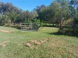 2607 Osceola Bluff Lane - Photo 50