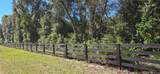 11150 78TH Avenue - Photo 3