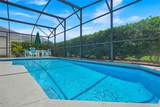 8055 King Palm Circle - Photo 29