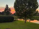 603 Brittle Fern Avenue - Photo 36