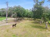 2370 Pine Meadows Place - Photo 44