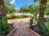 2461 Woodbark Street - Photo 2
