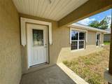 233 Locust Lane - Photo 2