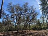 11901 Ne 150Th Ave Road - Photo 2