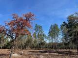 11901 Ne 150Th Ave Road - Photo 3