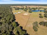 12793 138TH Loop - Photo 9