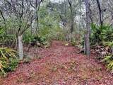 TBD Off Riverview Road - Photo 21