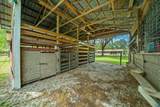 11831 Highway 484 - Photo 23