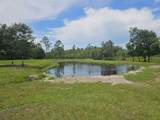 208 Limpkin Ln - Photo 38
