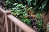 CALLE 9 Mameyes II Colinas Del Yunque - Photo 12