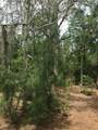 1250 Beach Road - Photo 13
