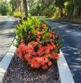 22481 Westchester Boulevard - Photo 4
