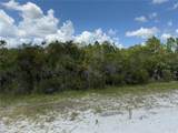  Sarasota Drive - Photo 5