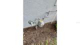 7958 Haverhill Way - Photo 32