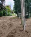 14633 Williams Lane - Photo 20