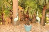 1230 Gulf Boulevard - Photo 56