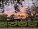 10946 Gun Dog Way - Photo 8
