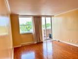 4015 Bayshore Boulevard - Photo 5