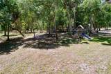 16224 Iola Woods Trail - Photo 64