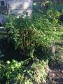 10502 Atlee Street - Photo 48