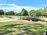 36750 Us 19 Highway - Photo 41