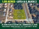 Corner 142ND PLACE & S US HWY-301 - Photo 1