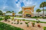 11805 Loblolly Pine Drive - Photo 33