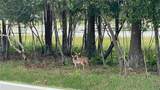 21511 Wilderness Lake Boulevard - Photo 75