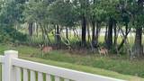 21511 Wilderness Lake Boulevard - Photo 76