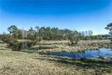 20914 Ruby Red Way - Photo 24