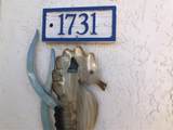 11300 Harbor Way - Photo 25