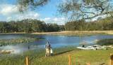16330 Hanna Road - Photo 40