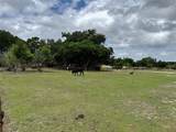 1804 Zipperer Road - Photo 3