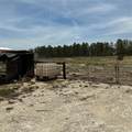 13262 Crowell Road - Photo 26