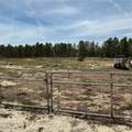 13262 Crowell Road - Photo 30