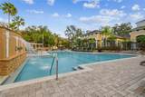 10203 Courtney Palms Boulevard - Photo 69