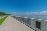 2413 Bayshore Boulevard - Photo 47