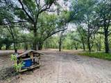 11000 Kitten Trail - Photo 12