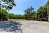  Egret Woods Circle - Photo 5