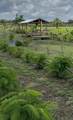 4277 Mineral Branch Road - Photo 10