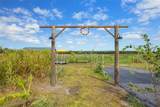 4277 Mineral Branch Road - Photo 19